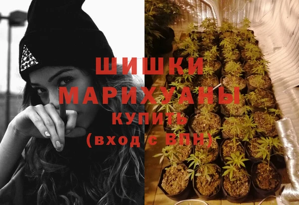 прущая мука Чекалин