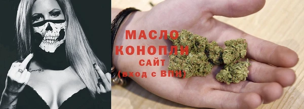 эйфоретик Гусь-Хрустальный
