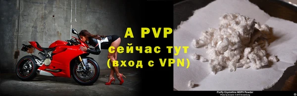 эйфоретик Гусь-Хрустальный