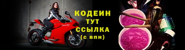 эйфоретик Гусь-Хрустальный