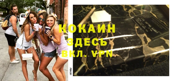 эйфоретик Гусь-Хрустальный