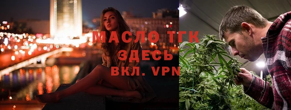 эйфоретик Гусь-Хрустальный