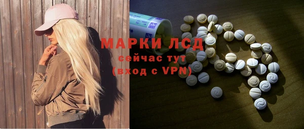 эйфоретик Гусь-Хрустальный