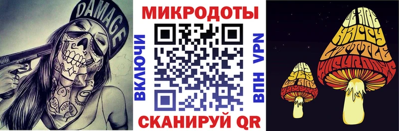 Псилоцибиновые грибы Cubensis Нея