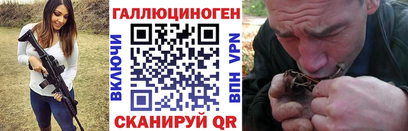 продажа наркотиков  Нея  МЕГА как зайти  Псилоцибиновые грибы Psilocybe 